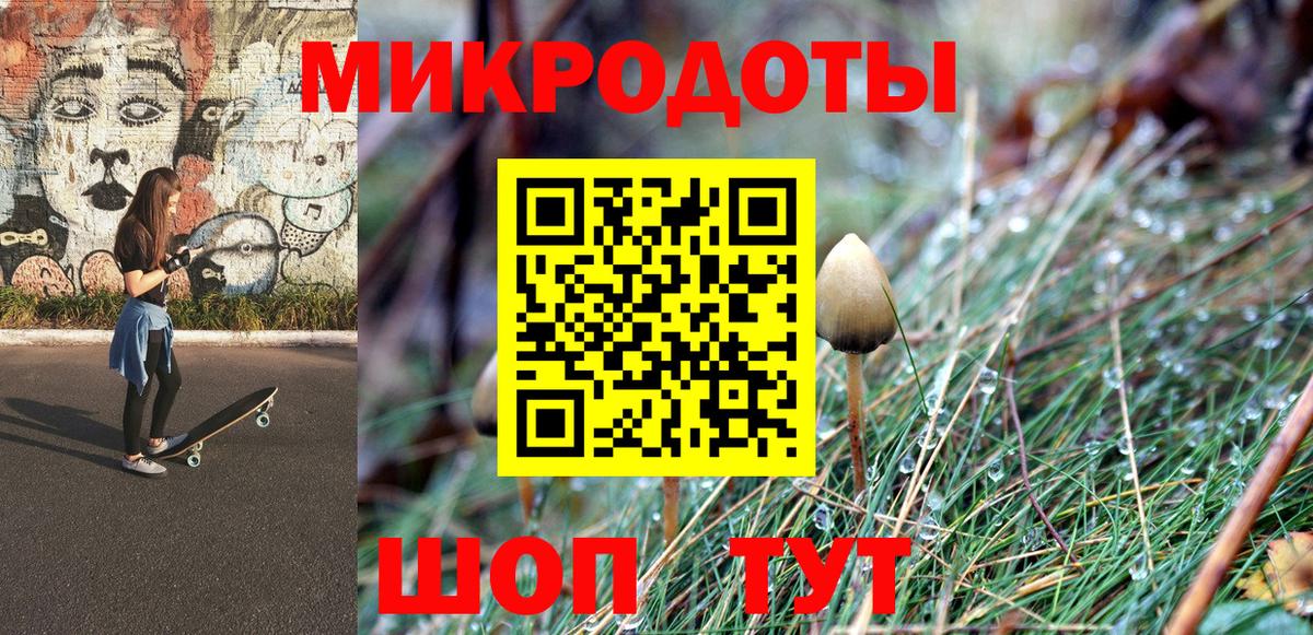 даркнет сайт  Вход с VPN  Буйнакск  Псилоцибиновые грибы Psilocybine cubensis 