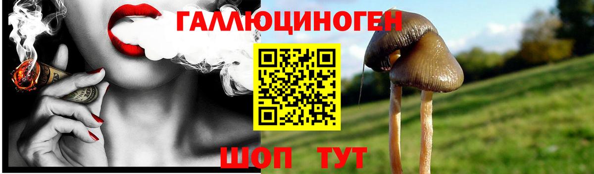 Галлюциногенные грибы ЛСД Буйнакск